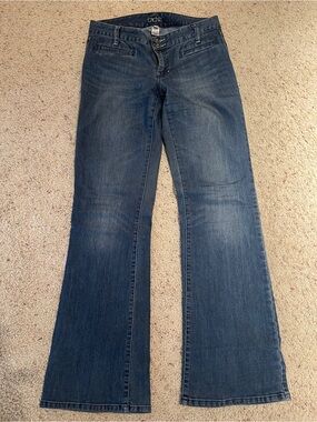 Cache Dark Blue Flare Leg Jeans
